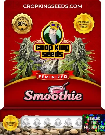 smoothie-image