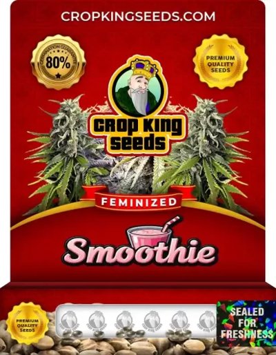 Smoothie