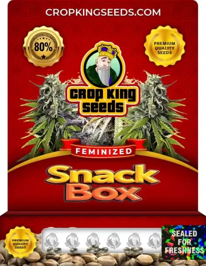snack-box-image