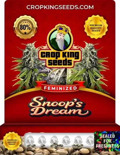 snoop’s-dream-image