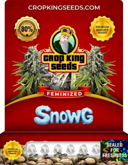 snow-g-image