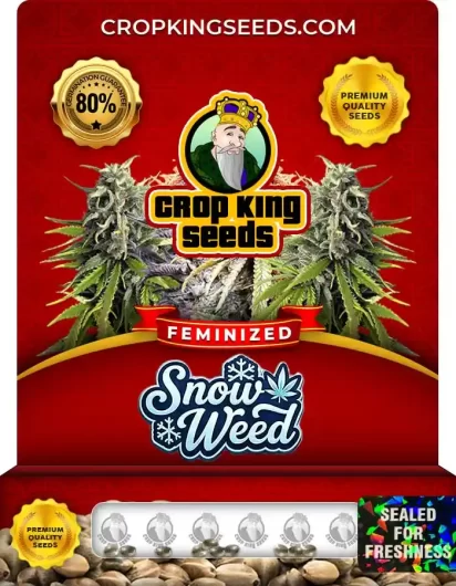 snow-weed-image
