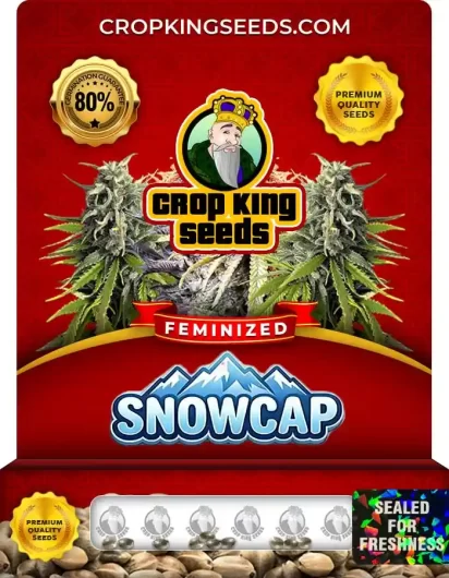 snowcap-image