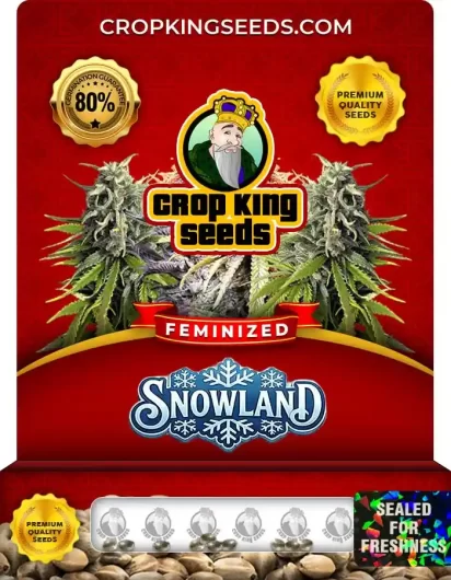 snowland-image