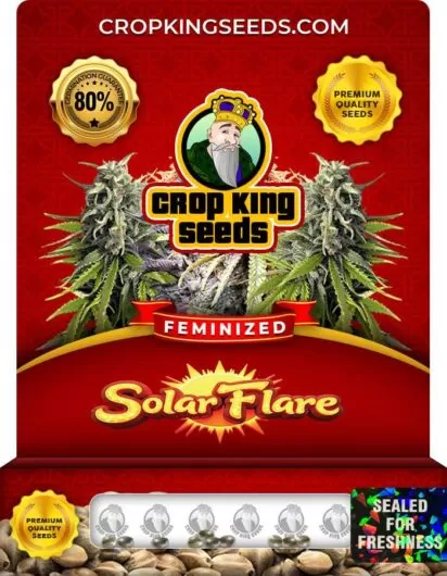 solar-flare-image
