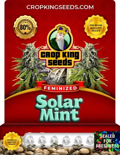 solar-mint-image