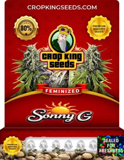 sonny-g-image