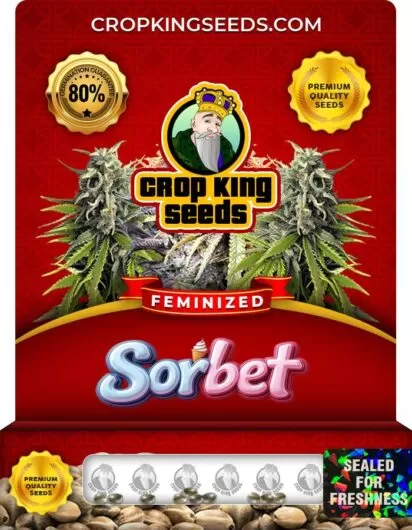 sorbet-image