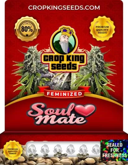 soul-mate-image
