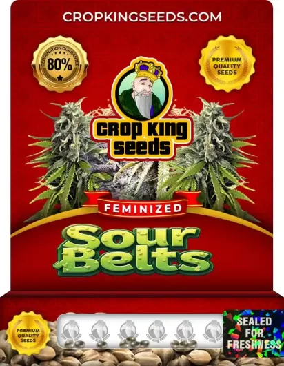 sour-belts-image