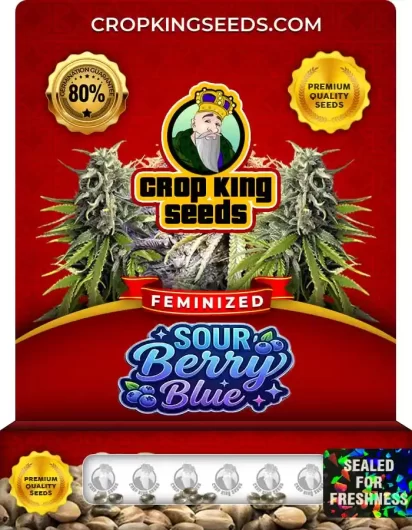 sour-berry-blue-image