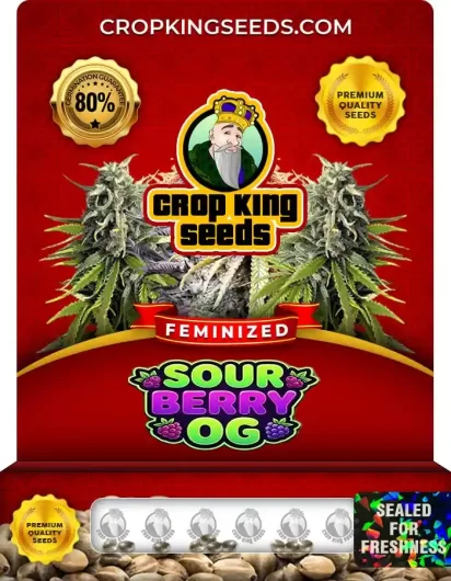 sour-berry-og-image