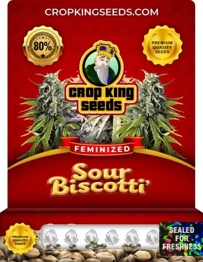 sour-biscotti-image