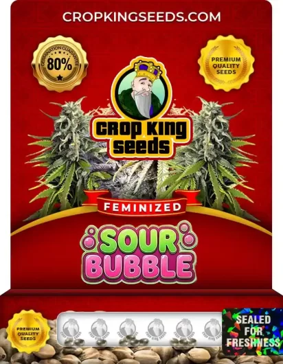 sour-bubble-image