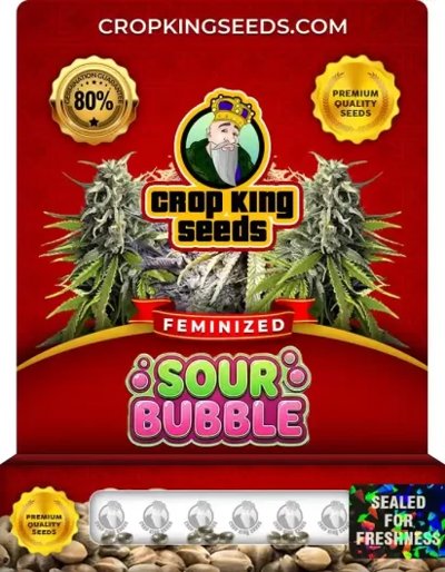 Sour Bubble
