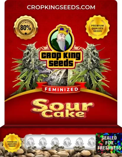 sour-cake-image