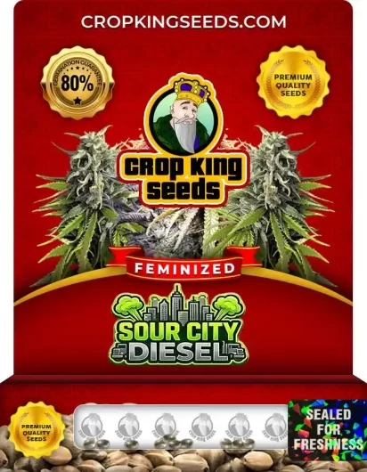 sour-city-diesel-image