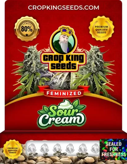 sour-cream-image