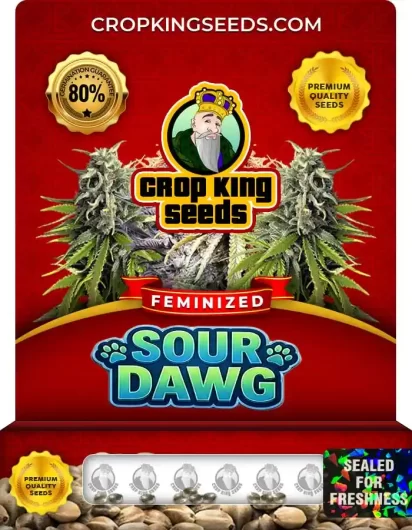 sour-dawg-image