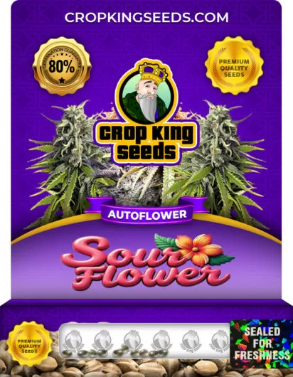 sour-flower-autoflower-image