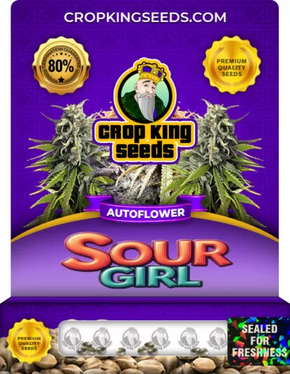 sour-girl-autoflower-image