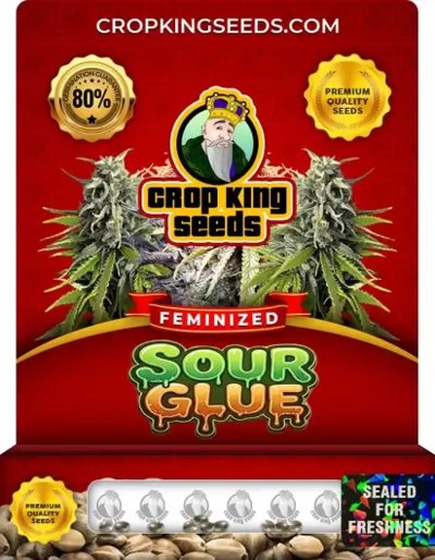 Sour Glue