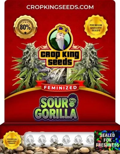 Sour Gorilla