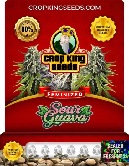sour-guava-image