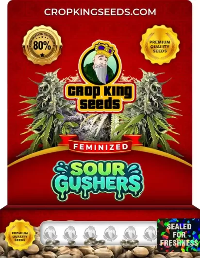 sour-gushers-image