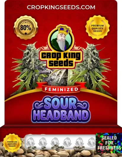 sour-headband-image