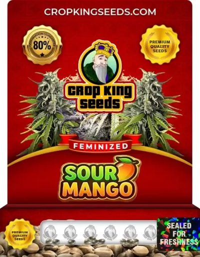 Sour Mango
