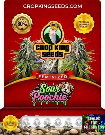 Sour Poochie