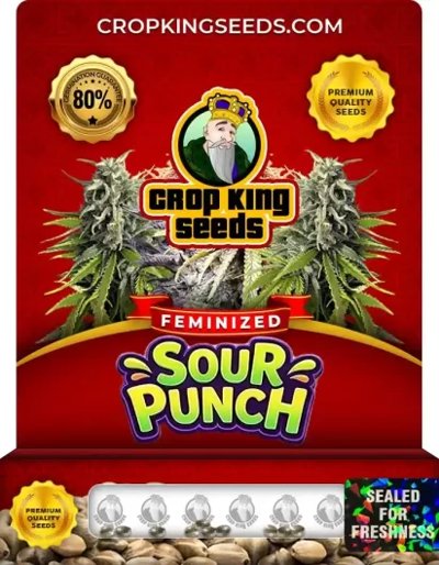 Sour Punch