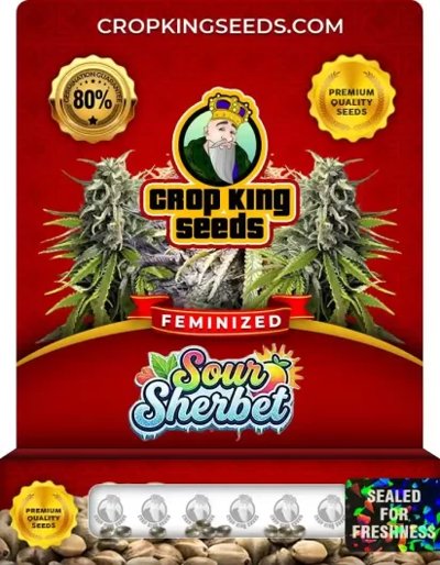 Sour Sherbet