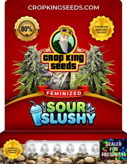 sour-slushy-image