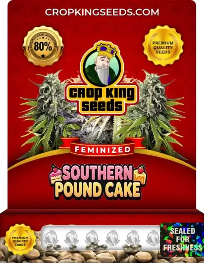 southern-pound-cake-image