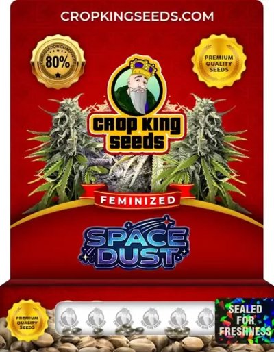 Space Dust