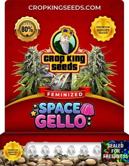 space-gello-image