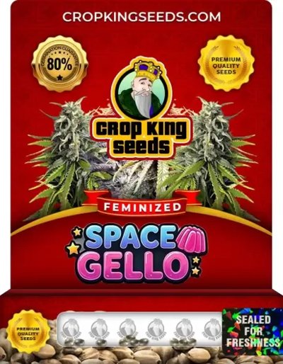 Space Gello