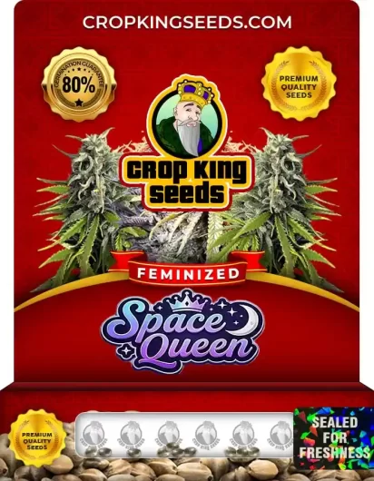 space-queen-image