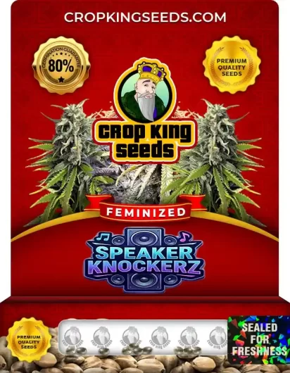 speaker-knockerz-image