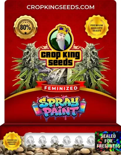 spray-paint-image