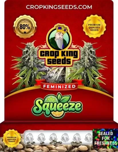squeeze-image