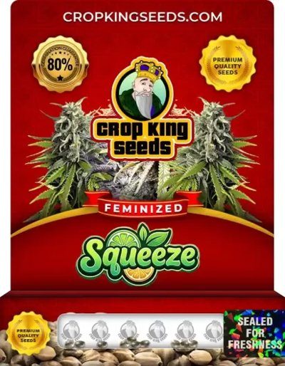 Squeeze