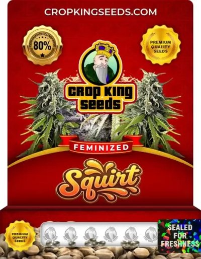 Squirt
