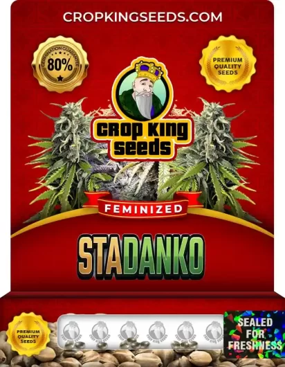 stadanko-image