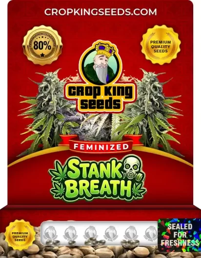 stank-breath-image