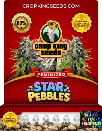 star-pebbles-image