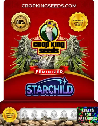 starchild-image