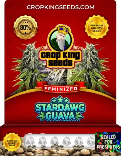 stardawg-guava-image
